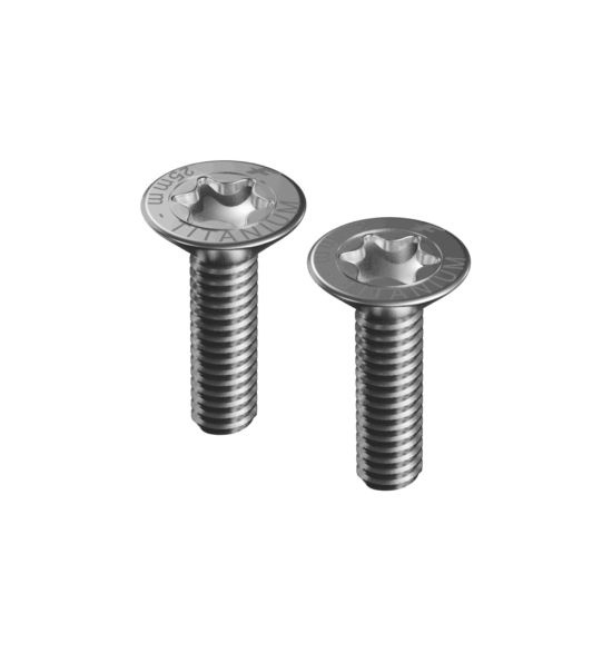 F-One M8-25mm tapered head screws (TITANIUM - T40 torx) x2